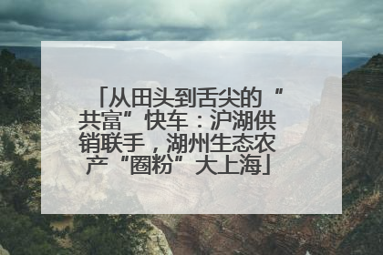 从田头到舌尖的“共富”快车：沪湖供销联手，湖州生态农产“圈粉”大上海