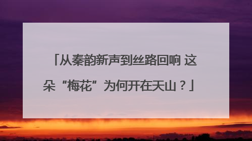 从秦韵新声到丝路回响 这朵“梅花”为何开在天山？