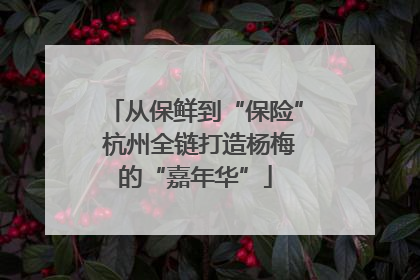 从保鲜到“保险” 杭州全链打造杨梅的“嘉年华”