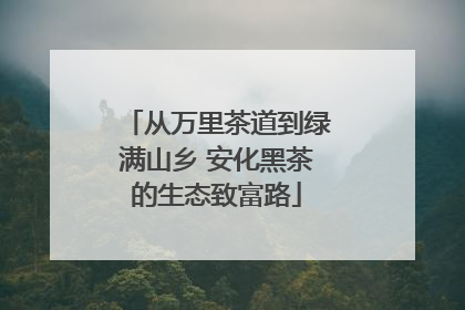 从万里茶道到绿满山乡 安化黑茶的生态致富路