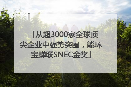 从超3000家全球顶尖企业中强势突围，能环宝蝉联SNEC金奖