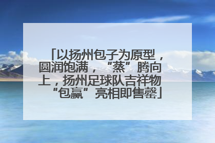 以扬州包子为原型，圆润饱满，“蒸”腾向上，扬州足球队吉祥物“包赢”亮相即售罄