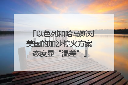 以色列和哈马斯对美国的加沙停火方案态度显“温差”