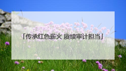 传承红色薪火 赓续审计担当