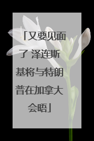 又要见面了 泽连斯基将与特朗普在加拿大会晤