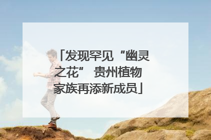 发现罕见“幽灵之花” 贵州植物家族再添新成员