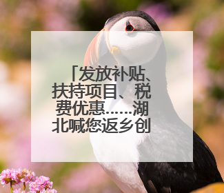 发放补贴、扶持项目、税费优惠……湖北喊您返乡创业