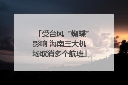 受台风“蝴蝶”影响 海南三大机场取消多个航班