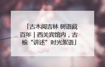 古木阅吉林 树语藏百年｜西关宾馆内，古榆“讲述”时光絮语