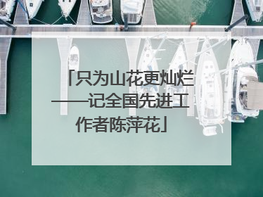 只为山花更灿烂——记全国先进工作者陈萍花