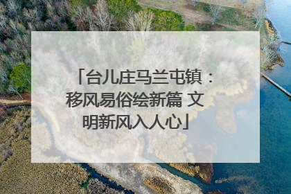 台儿庄马兰屯镇：移风易俗绘新篇 文明新风入人心