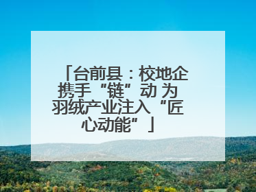 台前县：校地企携手“链”动 为羽绒产业注入“匠心动能”