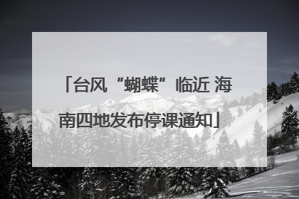 台风“蝴蝶”临近 海南四地发布停课通知