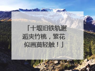 十堰旧铁轨邂逅夹竹桃，繁花似画莫轻触！