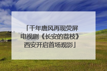 千年唐风再现荧屏 电视剧《长安的荔枝》西安开启首场观影