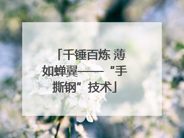 千锤百炼 薄如蝉翼——“手撕钢”技术