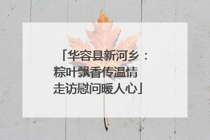 华容县新河乡：粽叶飘香传温情 走访慰问暖人心