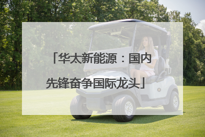 华太新能源：国内先锋奋争国际龙头