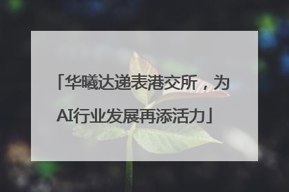 华曦达递表港交所，为AI行业发展再添活力