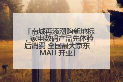 南城再添潮购新地标，家电数码产品先体验后消费 全国最大京东MALL开业