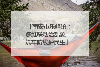 南安市乐峰镇：多维联动治乱象 筑牢防线护民生