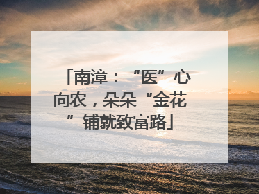 南漳：“医”心向农，朵朵“金花”铺就致富路