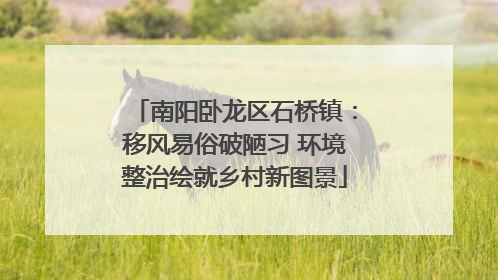 南阳卧龙区石桥镇：移风易俗破陋习 环境整治绘就乡村新图景