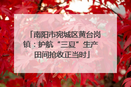 南阳市宛城区黄台岗镇：护航“三夏”生产 田间抢收正当时
