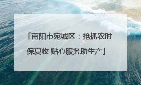 南阳市宛城区：抢抓农时保夏收 贴心服务助生产