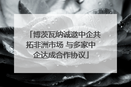 博茨瓦纳诚邀中企共拓非洲市场 与多家中企达成合作协议