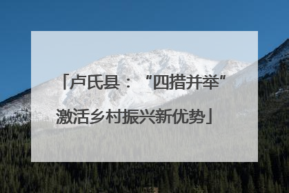 卢氏县：“四措并举”激活乡村振兴新优势