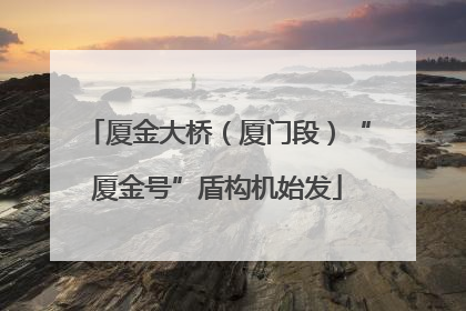 厦金大桥（厦门段）“厦金号”盾构机始发