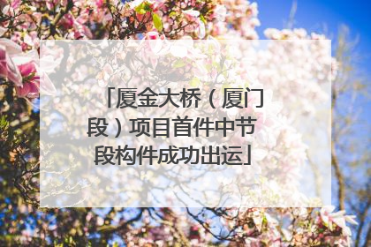 厦金大桥（厦门段）项目首件中节段构件成功出运