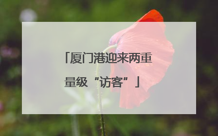 厦门港迎来两重量级“访客”