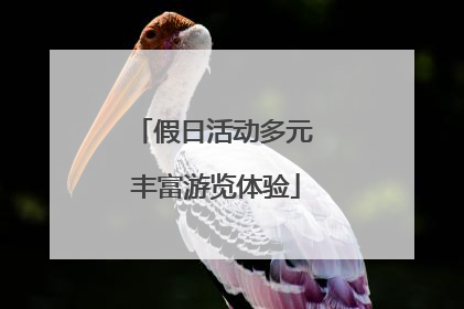 假日活动多元 丰富游览体验