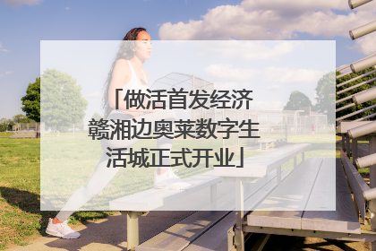 做活首发经济 赣湘边奥莱数字生活城正式开业