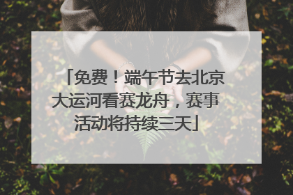 免费！端午节去北京大运河看赛龙舟，赛事活动将持续三天