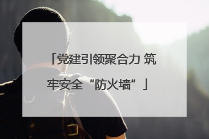 党建引领聚合力 筑牢安全“防火墙”