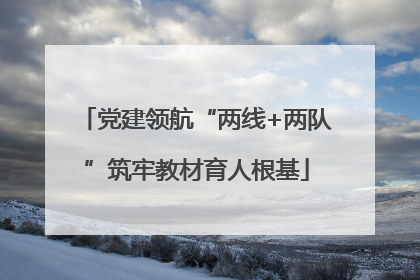 党建领航“两线+两队”筑牢教材育人根基