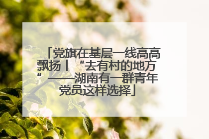 党旗在基层一线高高飘扬丨“去有村的地方”——湖南有一群青年党员这样选择