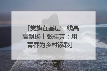党旗在基层一线高高飘扬丨张桂芳：用青春为乡村添彩