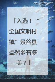 入选！“全国文明村镇”景谷县益智乡有多美？