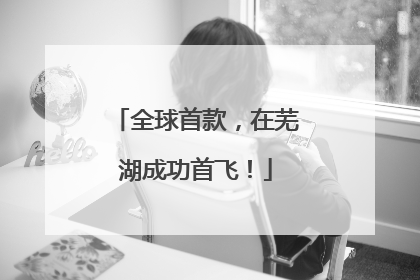 全球首款，在芜湖成功首飞！