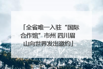 全省唯一入驻“国际合作馆”市州 四川眉山向世界发出邀约