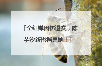 全红婵因伤退赛，陈芋汐新搭档是她！
