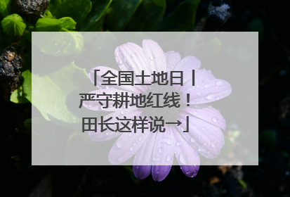 全国土地日丨严守耕地红线！田长这样说→