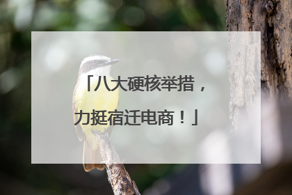 八大硬核举措，力挺宿迁电商！
