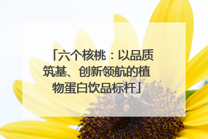 六个核桃：以品质筑基、创新领航的植物蛋白饮品标杆