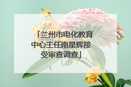 兰州市电化教育中心主任南星辉接受审查调查
