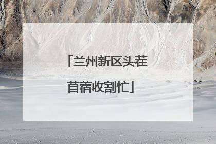 兰州新区头茬苜蓿收割忙
